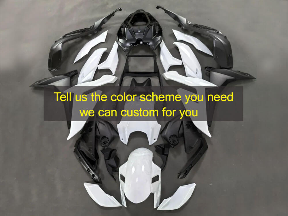 Custom fairing kits fit for 2021-2024 BMW S1000R (image for) Custom fairing kits fit for 2021-2024 BMW S1000R